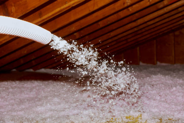 Best Eco-Friendly Insulation in Covington, WA